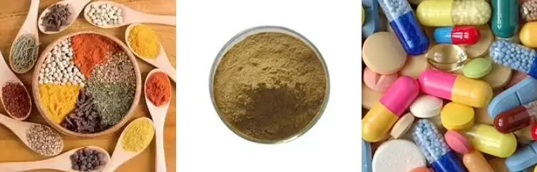 DEVIL'S CLAW ROOT EXTRACT DEVIL'S CLAW ROOT EXTRACT