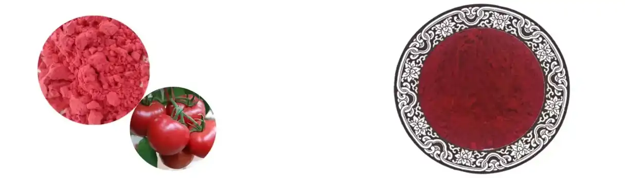 LICOPENO EN POL LICOPENO EN POL