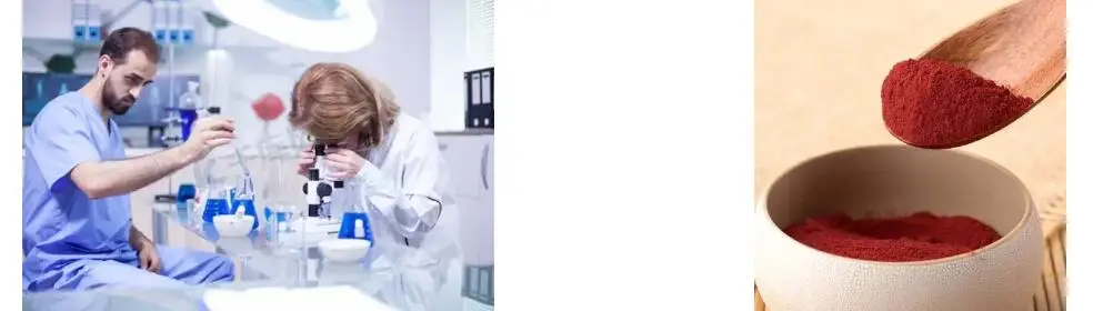 LICOPENO EN POL LICOPENO EN POL