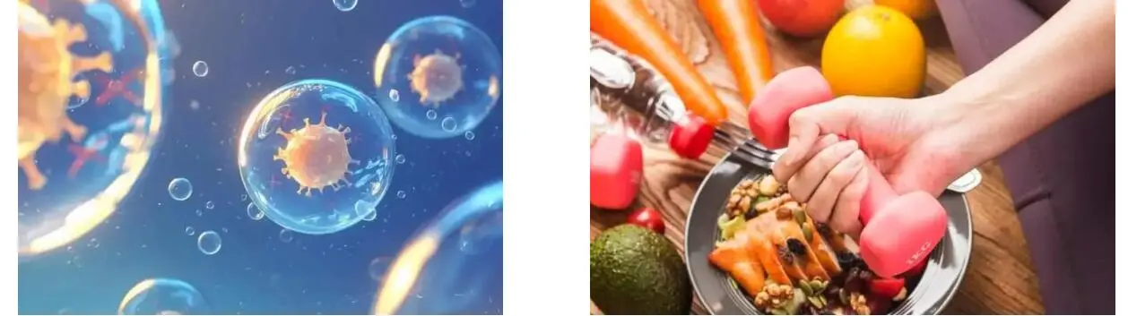 LYCOPENE POWDER LYCOPENE POWDER