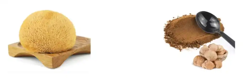 POL DE EXTRACTO DE COGOMELO MENA DE LEÓN POL DE EXTRACTO DE COGOMELO MENA DE LEÓN