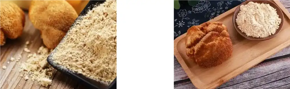 LION'S MANE MUSHROOM EXTRACT POWDER LION'S MANE MUSHROOM EXTRACT POWDER