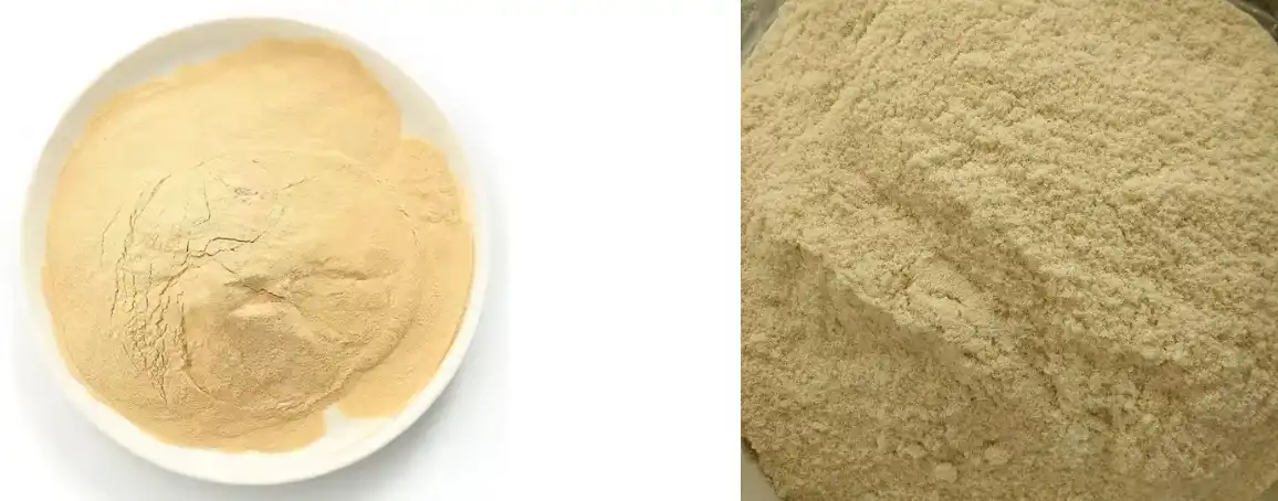 blog-1-1 Ano ang mga benepisyo sa kalusugan ng Yeast Beta Glucan Powder?