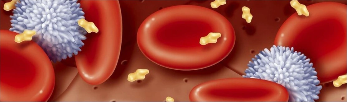 LION'S MANE MUSHROOM EXTRACT POWDER LION'S MANE MUSHROOM EXTRACT POWDER