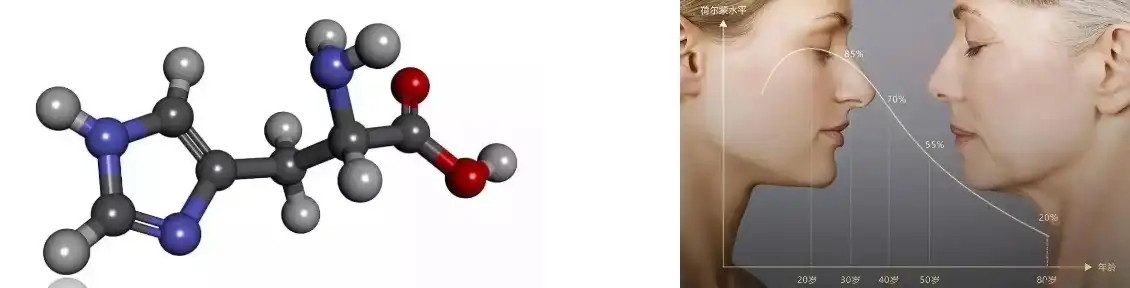 PINE POLLEN POWDER PINE POLLEN POWDER