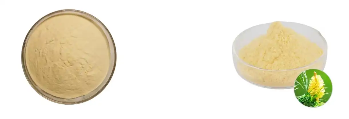 PINE POLLEN POWDER PINE POLLEN POWDER