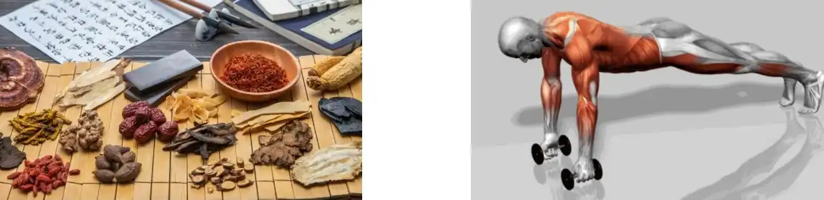 PINE POLLEN POWDER PINE POLLEN POWDER