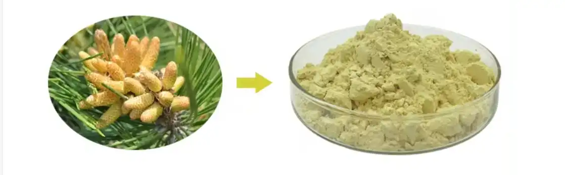 PINE POLLEN POWDER PINE POLLEN POWDER