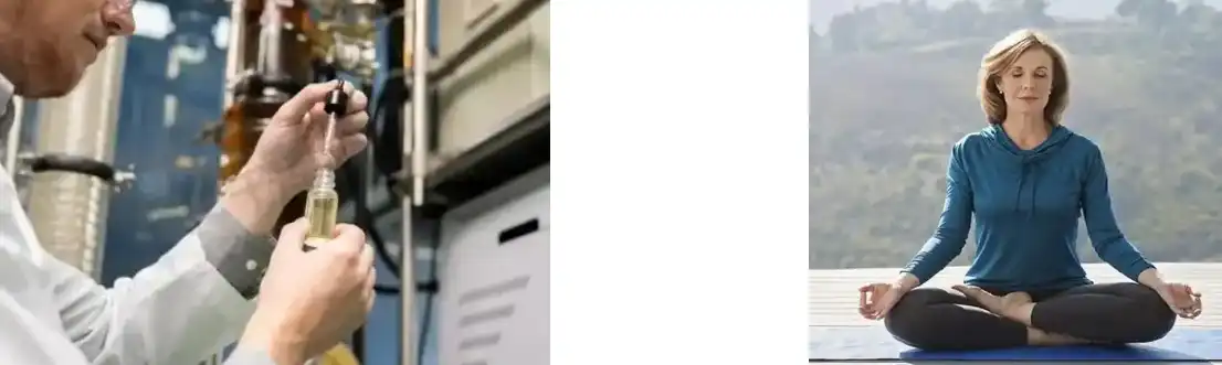 PINE POLLEN POWDER PINE POLLEN POWDER