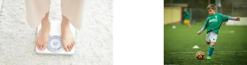 PINE POLLEN POWDER PINE POLLEN POWDER