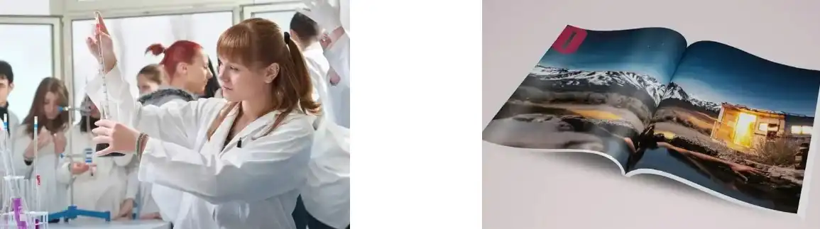 YEAST BETA GLUCAN POWDER YEAST BETA GLUCAN POWDER