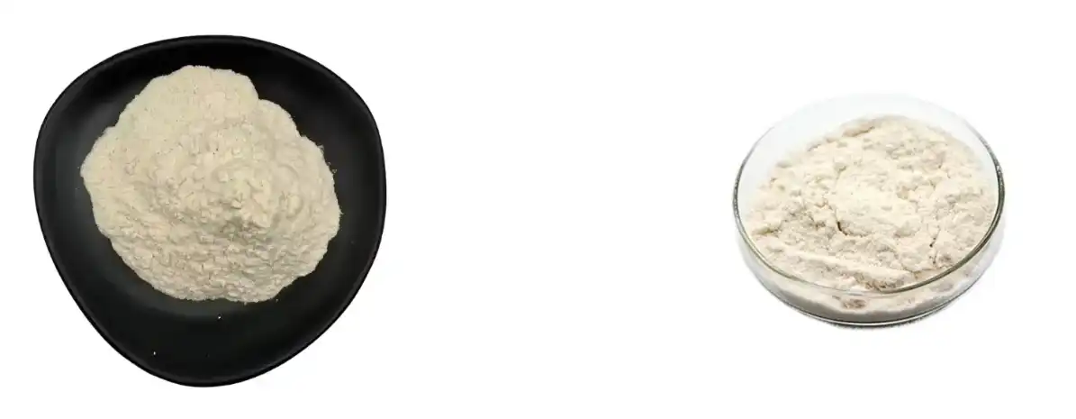 YEAST BETA GLUCAN POWDER YEAST BETA GLUCAN POWDER