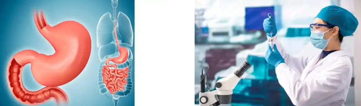 YEAST BETA GLUCAN POWDER YEAST BETA GLUCAN POWDER