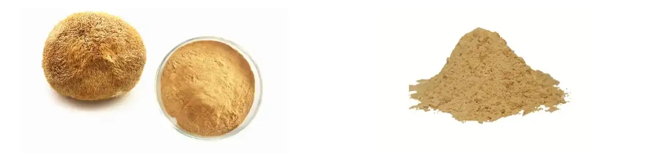 LION'S MANE MUSHROOM EXTRACT POWDER LION'S MANE MUSHROOM EXTRACT POWDER