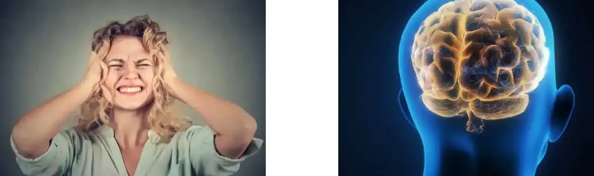 LION'S MANE MUSHROOM EXTRACT POWDER LION'S MANE MUSHROOM EXTRACT POWDER