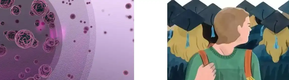 LION'S MANE MUSHROOM EXTRACT POWDER LION'S MANE MUSHROOM EXTRACT POWDER