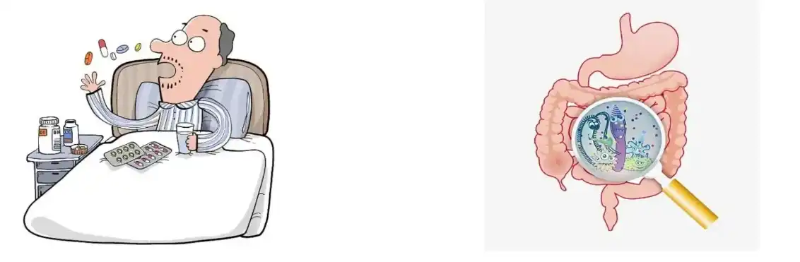 LION'S MANE MUSHROOM EXTRACT POWDER LION'S MANE MUSHROOM EXTRACT POWDER