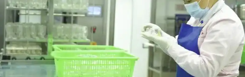 LION'S MANE MUSHROOM EXTRACT POWDER LION'S MANE MUSHROOM EXTRACT POWDER