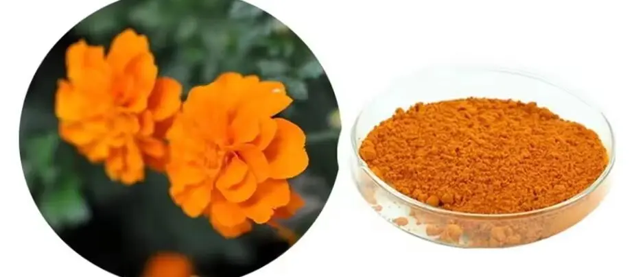 ZEAXANTHIN POWDER ZEAXANTHIN POWDER