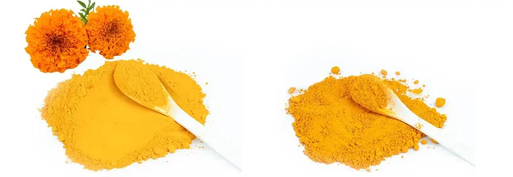 ZEAXANTHIN POWDER ZEAXANTHIN POWDER