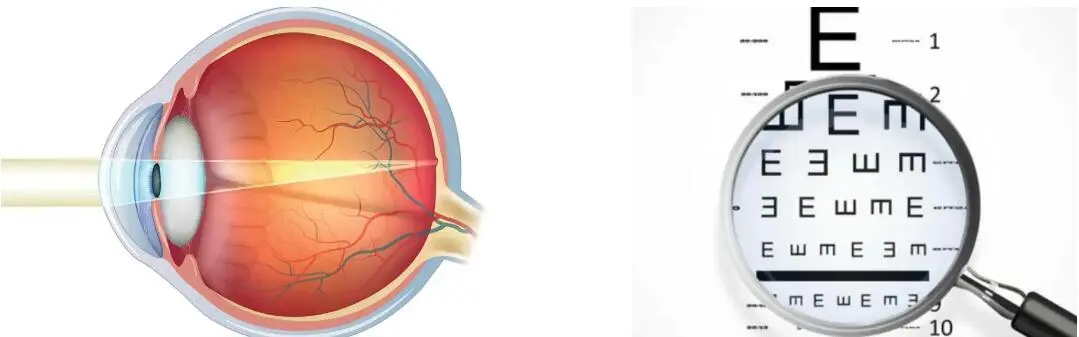 ZEAXANTHIN POWDER ZEAXANTHIN POWDER