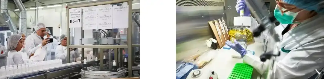 PINE POLLEN POWDER PINE POLLEN POWDER