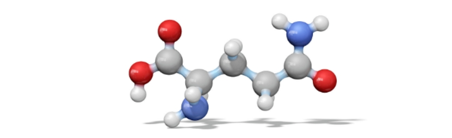 POLEN DE Piñeiro POLEN DE Piñeiro