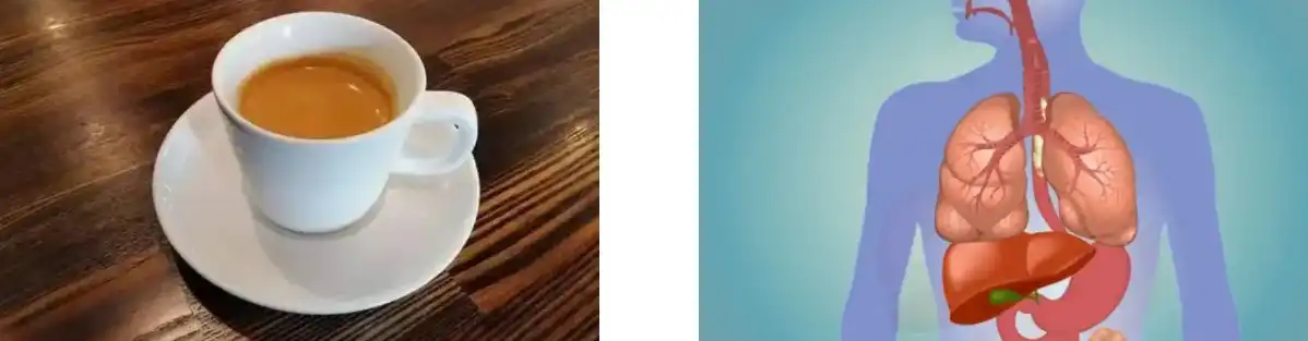 POLEN DE Piñeiro POLEN DE Piñeiro