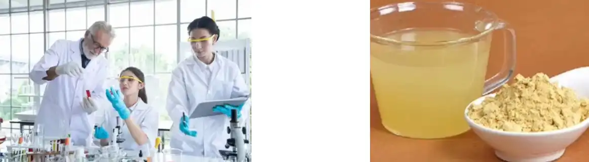 POLEN DE Piñeiro POLEN DE Piñeiro