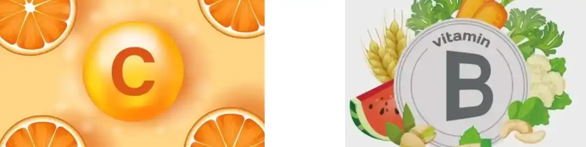 PINE POLLEN POWDER PINE POLLEN POWDER