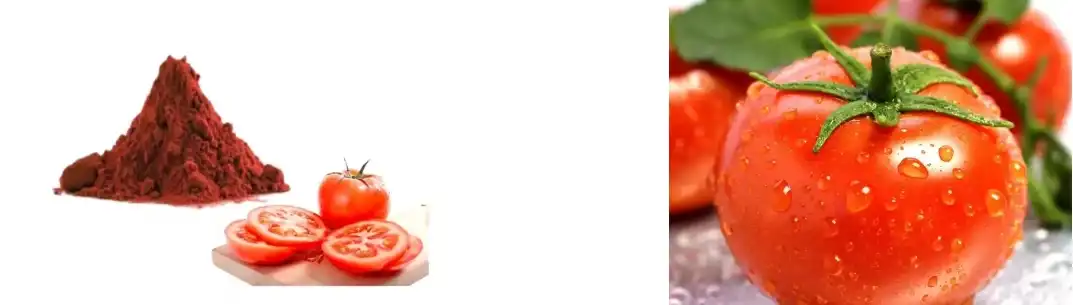LYCOPENE POWDER LYCOPENE POWDER