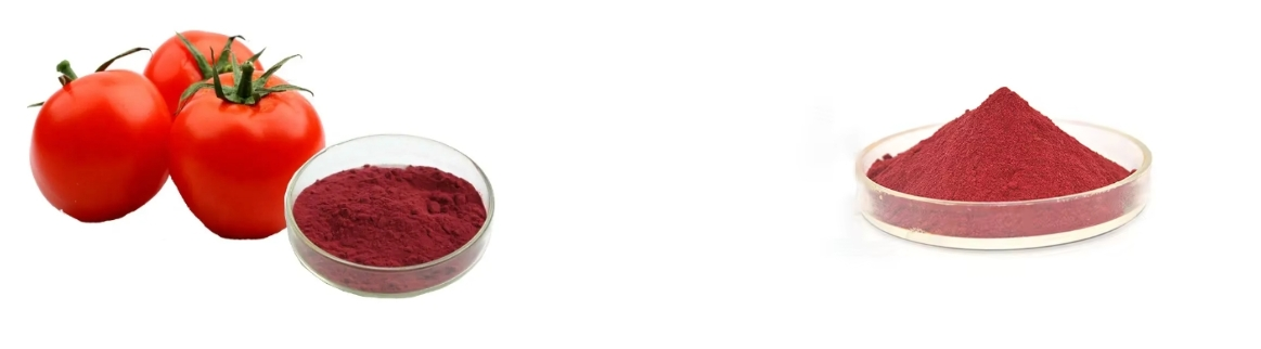 LYCOPENE POWDER LYCOPENE POWDER