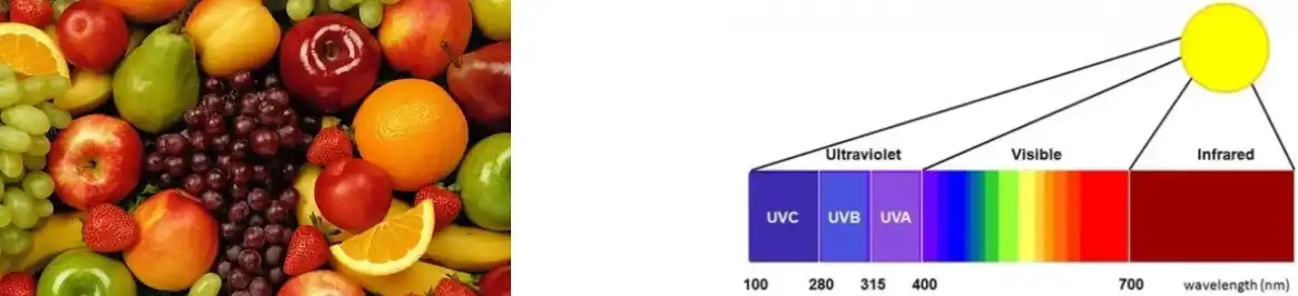 LYCOPENE POWDER LYCOPENE POWDER