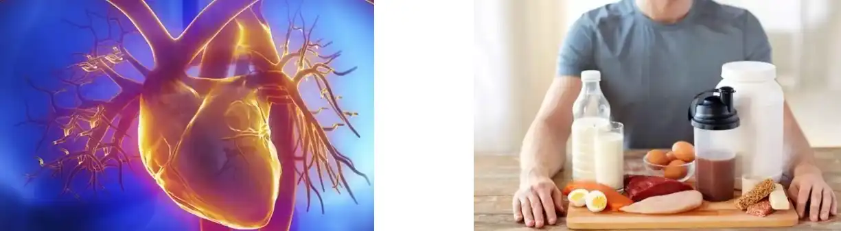 LYCOPENE POWDER LYCOPENE POWDER