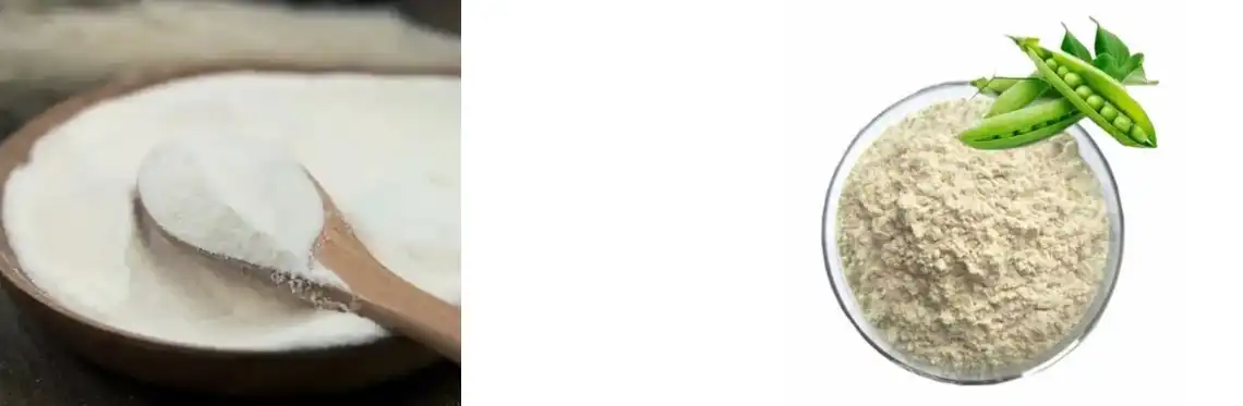 POLVO DE PROTEÍNAS DE CHIVILLO PURA POLVO DE PROTEÍNAS DE CHIVILLO PURA