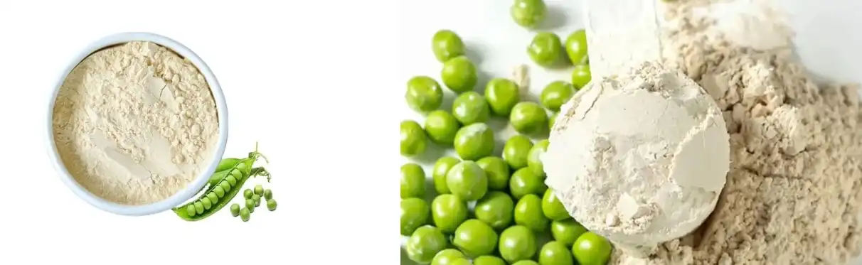 PURE PEA PROTEIN POWDER PURE PEA PROTEIN POWDER