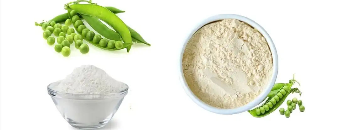 PURE PEA PROTEIN POWDER PURE PEA PROTEIN POWDER