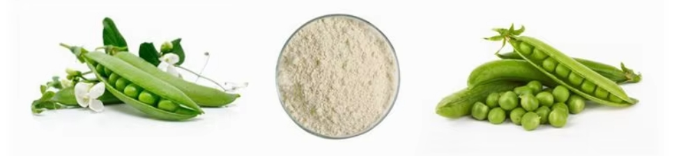 POLVO DE PROTEÍNAS DE CHIVILLO PURA POLVO DE PROTEÍNAS DE CHIVILLO PURA