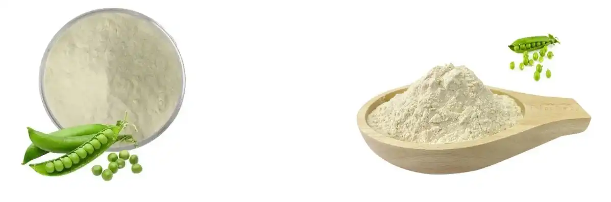 PURE PEA PROTEIN POWDER PURE PEA PROTEIN POWDER