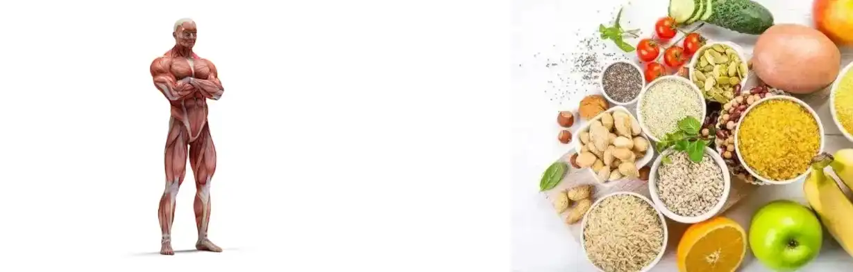 PURE PEA PROTEIN POWDER PURE PEA PROTEIN POWDER