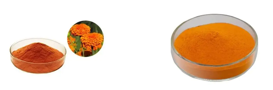 ZEAXANTHIN POWDER ZEAXANTHIN POWDER