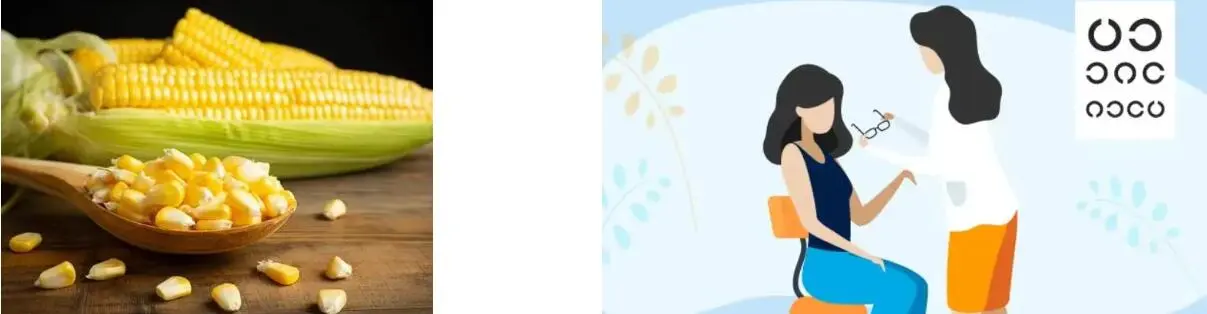 ZEAXANTHIN POWDER ZEAXANTHIN POWDER