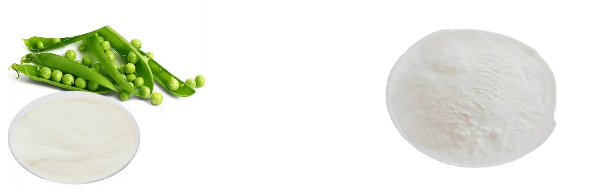 PURE PEA PROTEIN POWDER PURE PEA PROTEIN POWDER