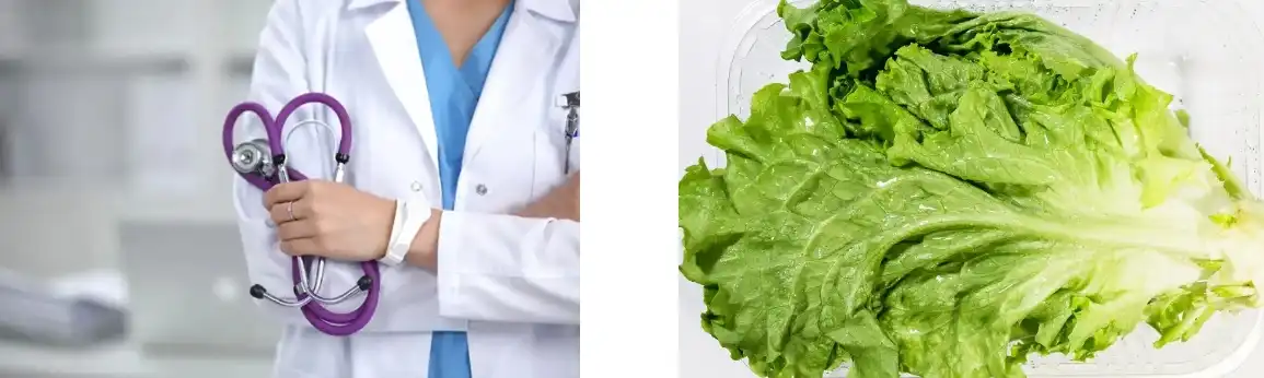 PURE PEA PROTEIN POWDER PURE PEA PROTEIN POWDER