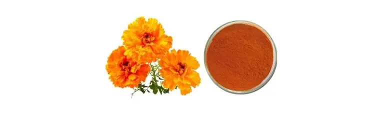 ZEAXANTHIN POWDER ZEAXANTHIN POWDER