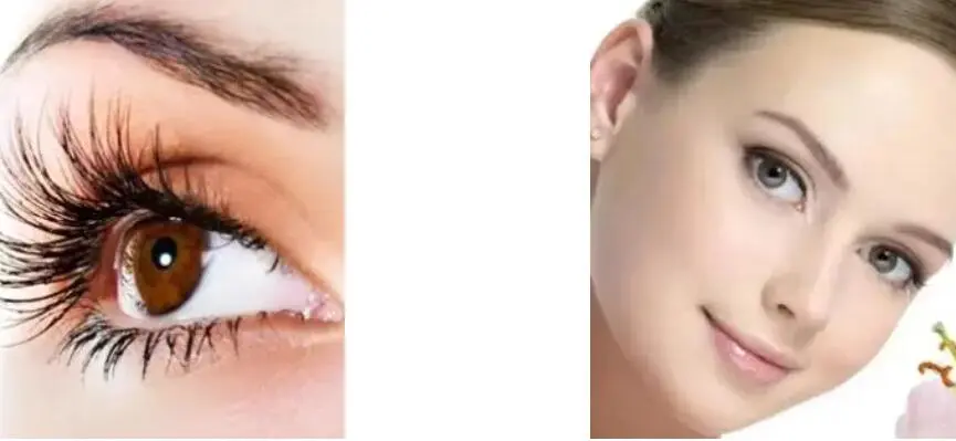 ZEAXANTHIN POWDER ZEAXANTHIN POWDER