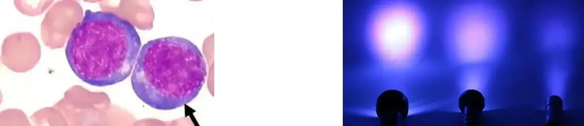 ZEAXANTHIN POWDER ZEAXANTHIN POWDER