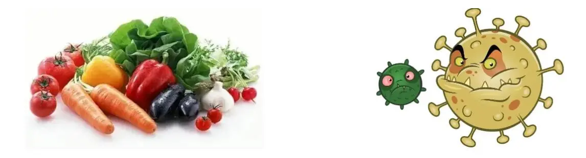 BETA CAROTENO EN POL BETA CAROTENO EN POL