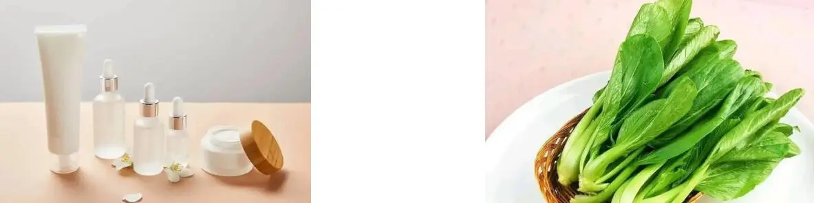 BETA CAROTENE POWDER BETA CAROTENE POWDER