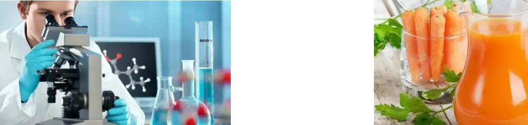 BETA CAROTENE POWDER BETA CAROTENE POWDER